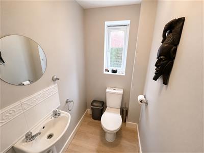 Picture 11